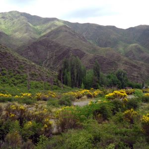 Villavicencio Nature Reserve