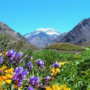 UCO VALLEY – ACONCAGUA – MENDOZA