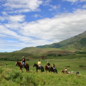 ESTANCIA LAS CARRERAS