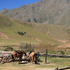 MOLINOS – CAFAYATE – TAFÍ DEL VALLE