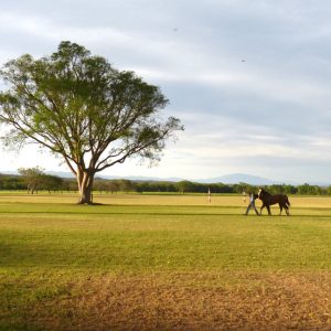 TAFI DEL VALLE – ESTANCIA ZARATE