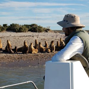 Bahia Bustamante – Malaspina Cove & Peninsula