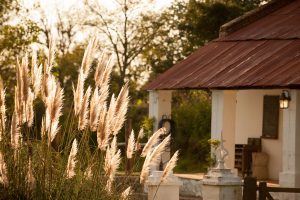 Arrival at Estancia